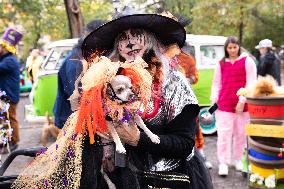 Halloween Dog Parade - NYC