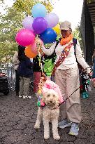 Halloween Dog Parade - NYC