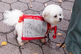 Halloween Dog Parade - NYC