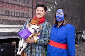 Halloween Dog Parade - NYC