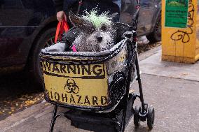 Halloween Dog Parade - NYC