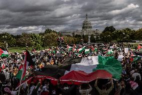 Pro-Palestinian Rally - Washington