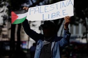 Palestinian Community In Mexico Marches Against Israel