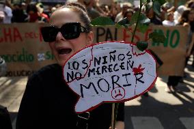 Palestinian Community In Mexico Marches Against Israel