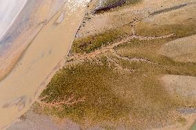 Yellow River Flowing Through Beach Trace