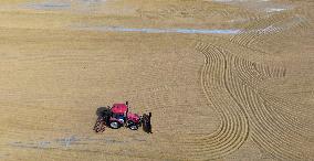 Baima Lake Farm in Huai'an