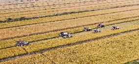 Baima Lake Farm in Huai'an