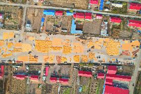CHINA-HEILONGJIANG-AUTUMN HARVEST-DRONE PHOTO (CN)