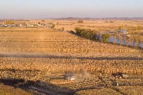 CHINA-HEILONGJIANG-AUTUMN HARVEST-DRONE PHOTO (CN)