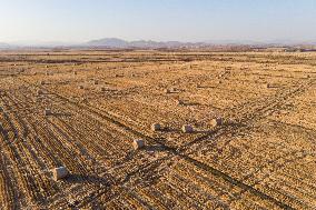 CHINA-HEILONGJIANG-AUTUMN HARVEST-DRONE PHOTO (CN)