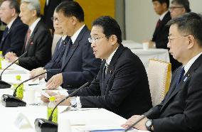 Japan PM Kishida at gov't panel meeting