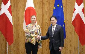Japanese, Danish premiers hold talks
