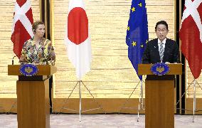 Japanese, Danish premiers hold talks