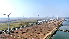 New Energy Power in Chinese Countryside