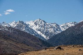 Cuopugou Scenic Spot in Ganzi