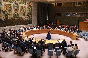 UN-SECURITY COUNCIL-PALESTINIAN-ISRAELI CONFLICT-DRAFT RESOLUTION-CHINA-VETO
