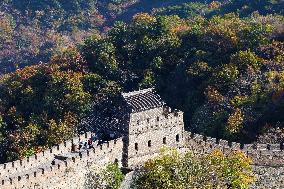 CHINA-BEIJING-GREAT WALL-AUTUMN SCENERY (CN)