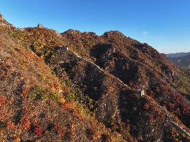 #CHINA-HEBEI-GREAT WALL-AUTUMN SCENERY (CN)