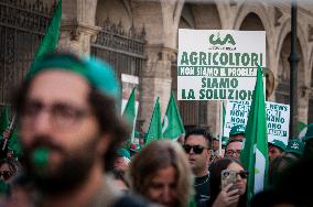 Cia Farmers Protest To Claim The Centrality Of The Agricultural