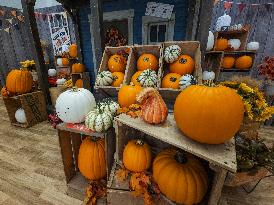 Canadian Businesses Getting Ready For Halloween And Christmas