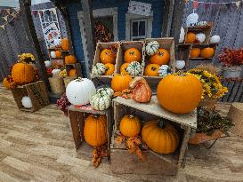 Canadian Businesses Getting Ready For Halloween And Christmas