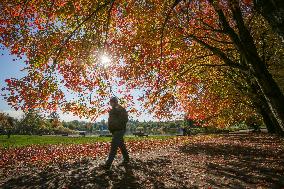CANADA-VANCOUVER-AUTUMN-SCENERY