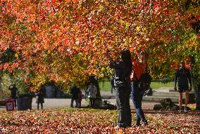 CANADA-VANCOUVER-AUTUMN-SCENERY