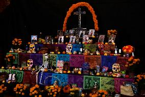 Day Of The Dead Offering  At Metropolitan Cathedral