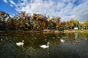 Waterfoul in Zaporizhzhia