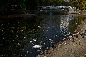 Waterfoul in Zaporizhzhia