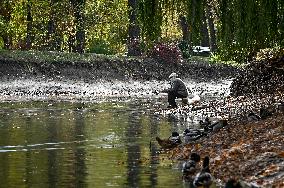 Waterfoul in Zaporizhzhia