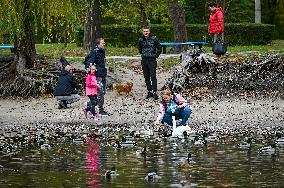 Waterfoul in Zaporizhzhia