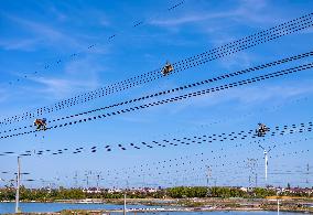 Transmission Lines Maintenance in Xinghua