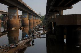India River Pollution