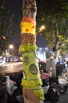 Wutong Tree in Warm Autumn Clothes in Nanjing