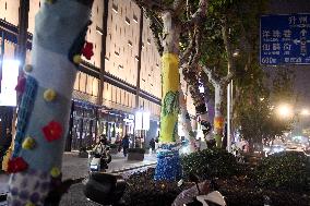 Wutong Tree in Warm Autumn Clothes in Nanjing