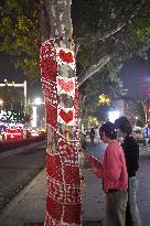Wutong Tree in Warm Autumn Clothes in Nanjing