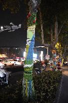 Wutong Tree in Warm Autumn Clothes in Nanjing