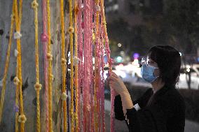 Wutong Tree in Warm Autumn Clothes in Nanjing