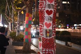 Wutong Tree in Warm Autumn Clothes in Nanjing
