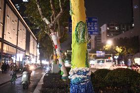 Wutong Tree in Warm Autumn Clothes in Nanjing