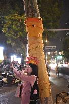 Wutong Tree in Warm Autumn Clothes in Nanjing