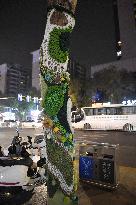 Wutong Tree in Warm Autumn Clothes in Nanjing