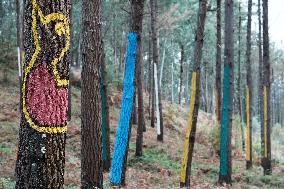 Oma Forest - Spain