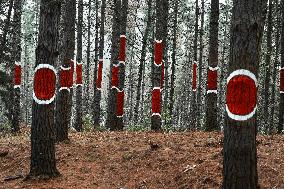 Oma Forest - Spain
