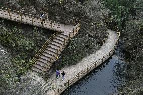 CHINA-HENAN-YUZHOU-FOREST PARK-AUTUMN (CN)