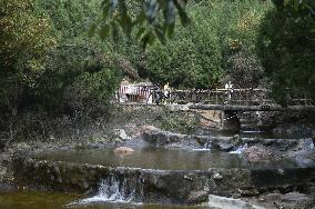 CHINA-HENAN-YUZHOU-FOREST PARK-AUTUMN (CN)