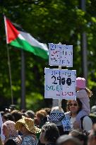 Pro-Palestinian Rally In New Zealand