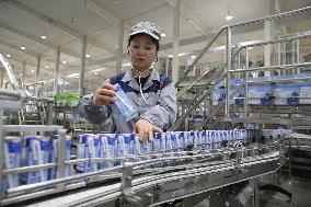 Workers Work at Mengniu Dairy Line  in Meishan