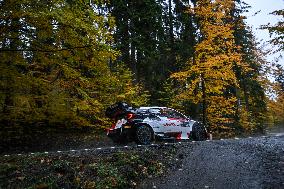 FIA World Rally Championship WRC Central European Rally 2023